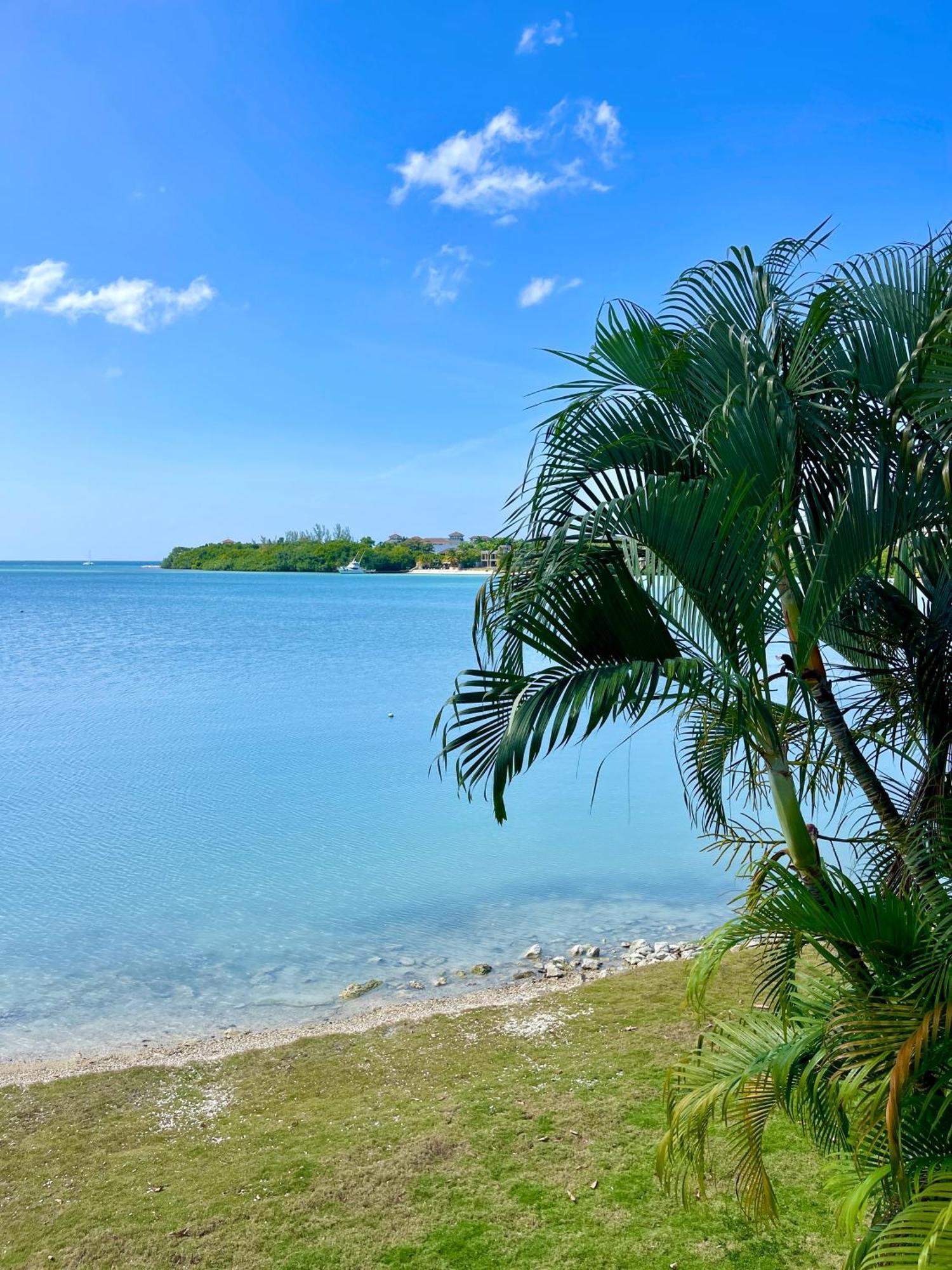 Luxury Apartments And Rooms,The Lagoons Montego Bay Eksteriør bilde